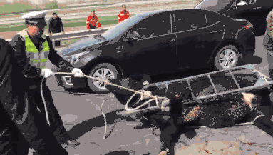 无为半套&探异议,无为有不正规的足道吗