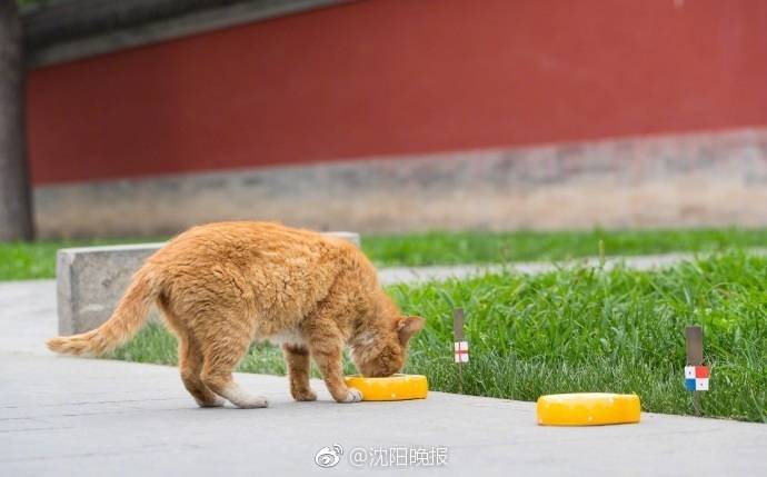 乐山市去哪找女孩“马齿徒增,乐山找妹儿的地方