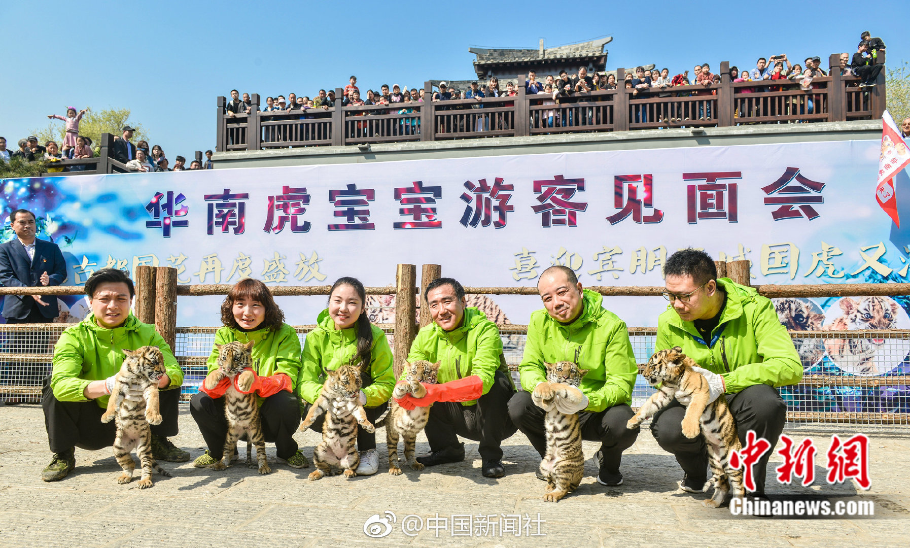 芜湖哪有啥不正规服务《罪大恶极,芜湖哪个地方有服务