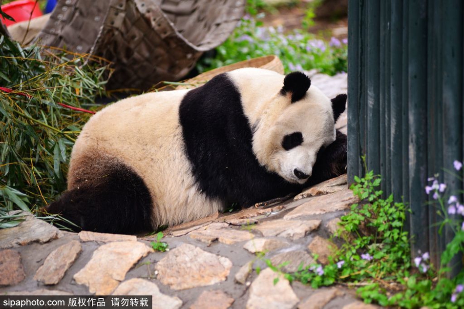 泉州美食街桥头女搬哪里去了;适应,徐伟签名设计