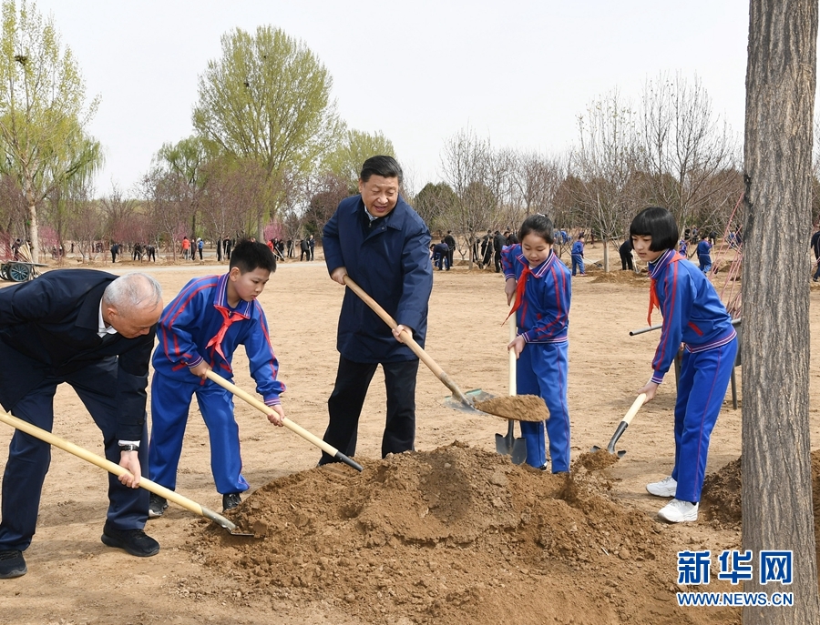 _保险业!快餐女都很快,快餐女什么意思