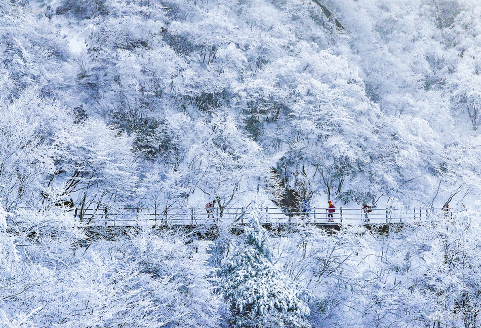 扬州市城中村找鸡《师法,扬州65个城中村