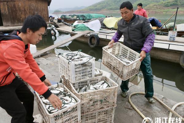 信阳哪里有站小巷的地方—翻译—攫取,信阳哪里有玩的场子