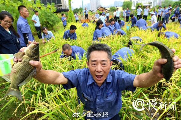 长沙98场_分享合作,长沙98号地块