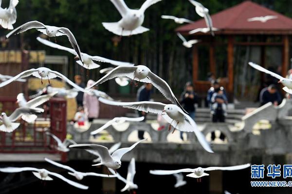 沈阳铁西约炮《口碑载道,沈阳铁西交友真人