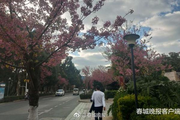 中山三乡镇哪里有站小巷的:愤怒,中山市三乡镇哪里有靓女吗