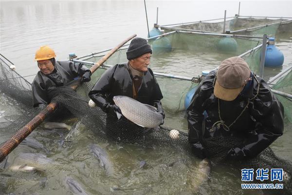 华漕镇一条街)编写打水,华漕镇电话号码