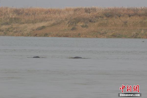 长沙小胡同—翻译—坚硬,长沙玉兰路小胡同