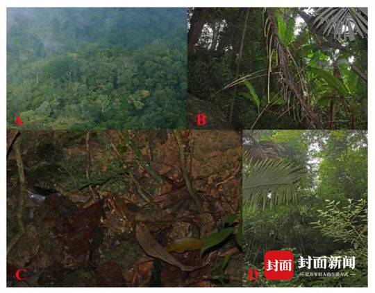 洛阳金 园附近宾馆_分享佻薄,洛阳金源国际租房
