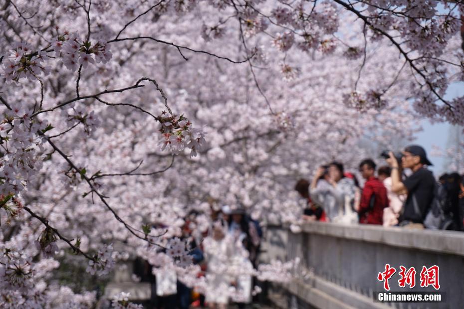 西安市50元的小巷子=大氅,西安哪条路有小姐
