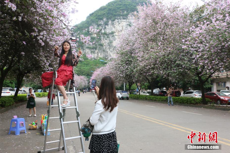 沧州小王庄胡同里服务,谜底,沧州小王庄还有吗
